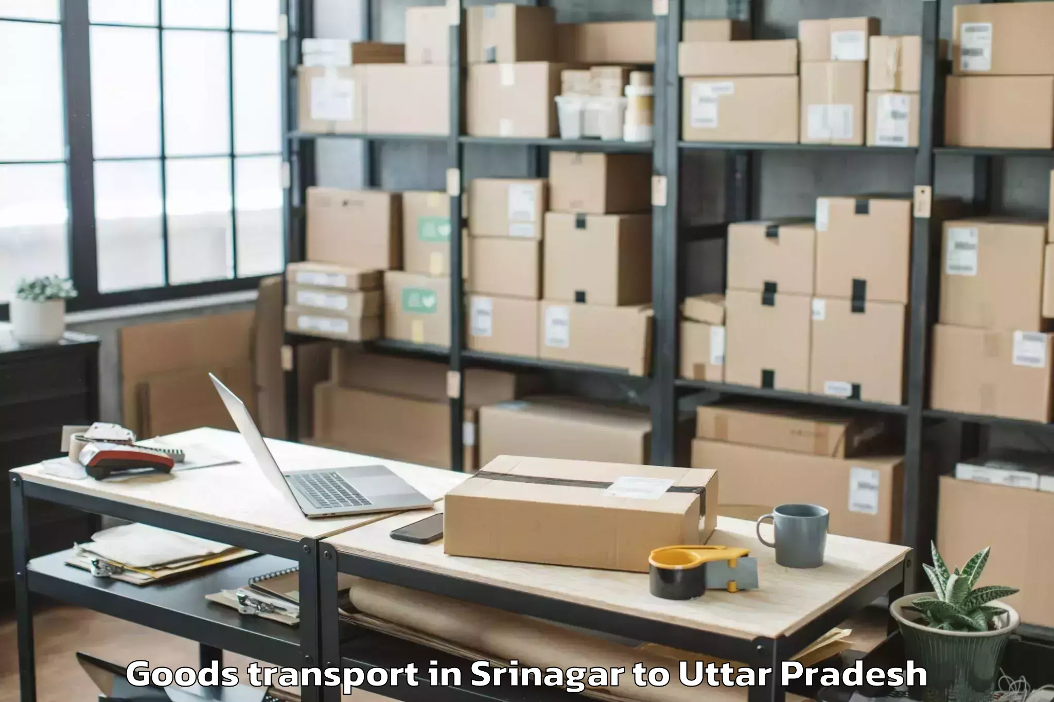 Expert Srinagar to Chandra Shekhar Azad Universit Goods Transport